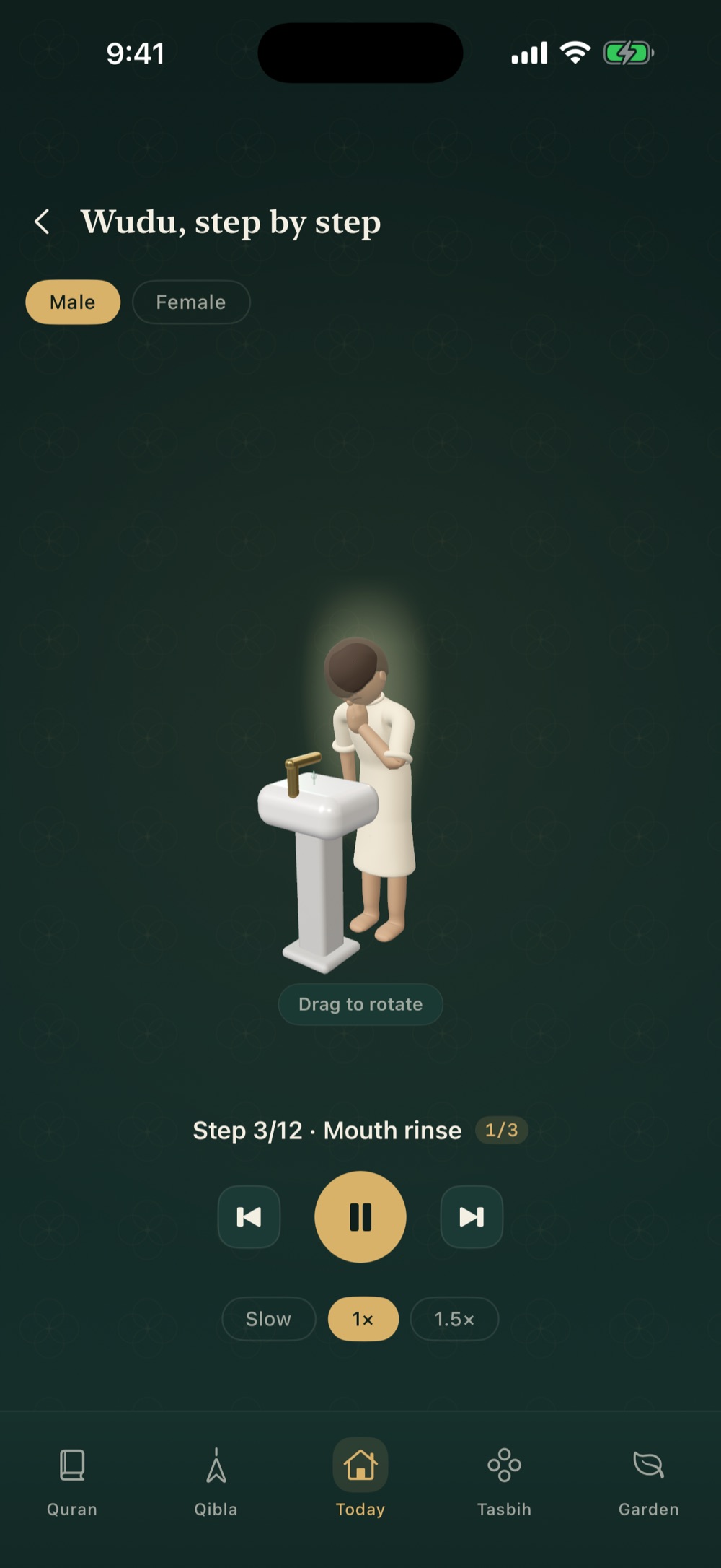 The wudu demonstration, step by step